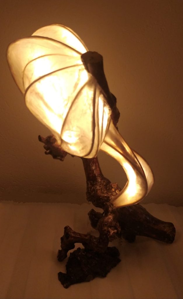 THE LIGHT CARRIER 45X28