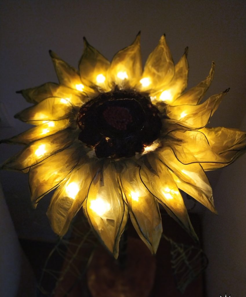 SUNFLOWER 50X20