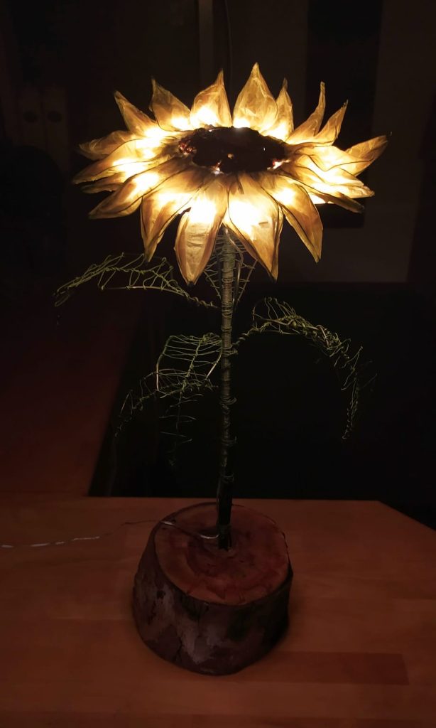 SUNFLOWER 50X20