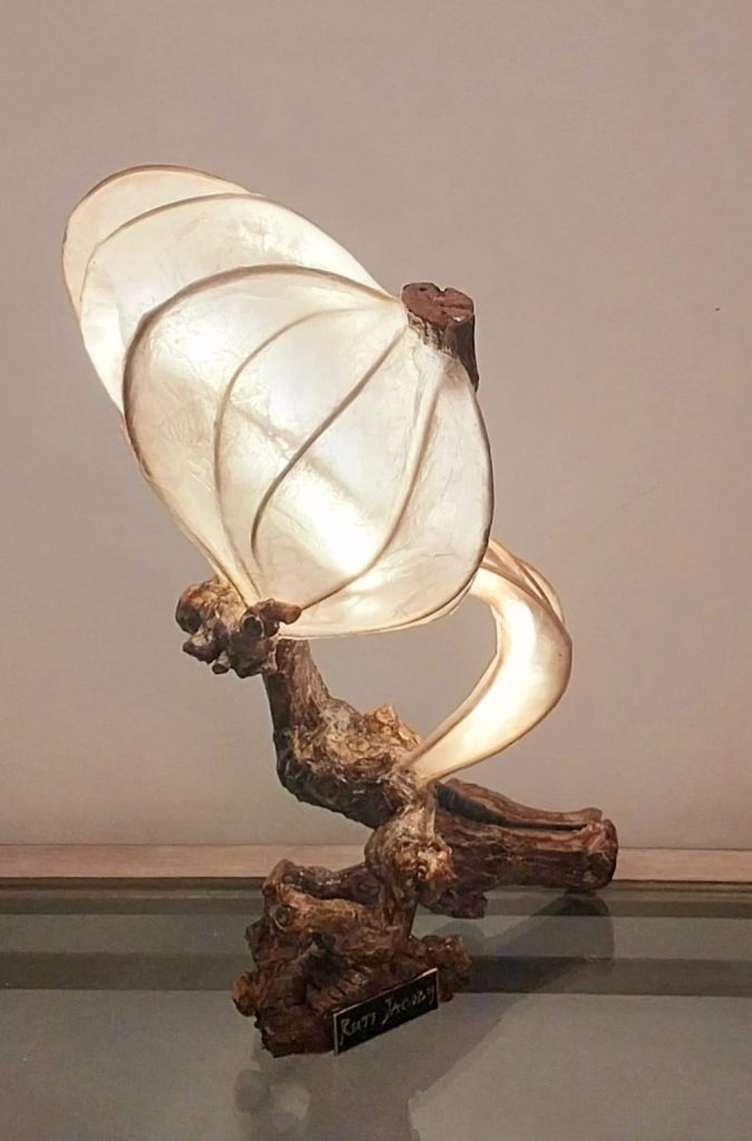 THE LIGHT CARRIER 45X28