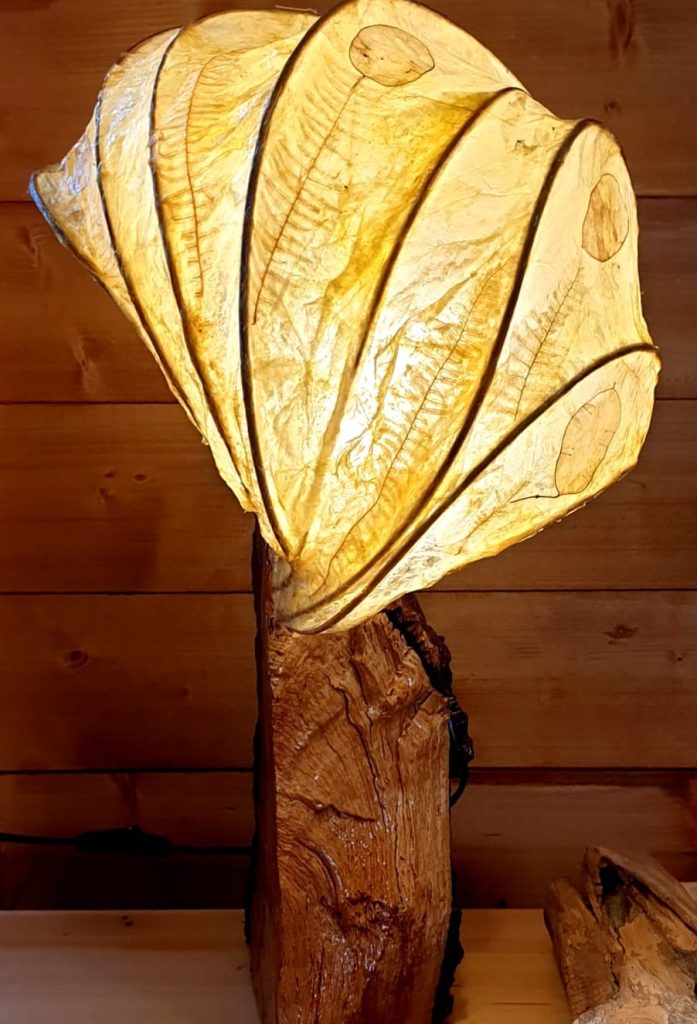 natural tree trunk 60x28